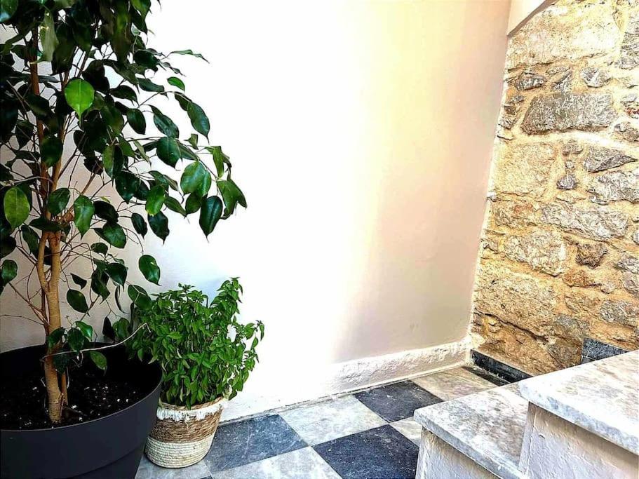 Ammoudara'S Apartments Rooftop Kálymnos 外观 照片